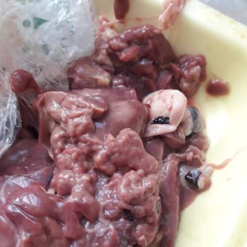 Gedik Piliç Ciğer Değil Zehir Almışım