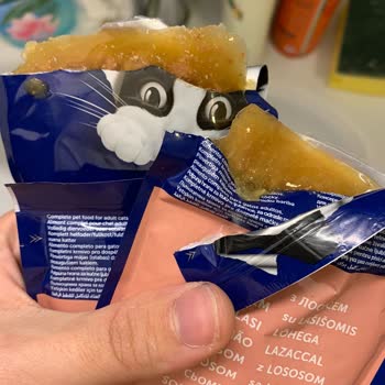 Migros'tan Aldığım Purina Felix Marka Yaş Mama Bozuk Çıktı