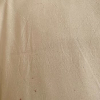 Pineta Park Deluxe Hotel Temizlik Ve Hijyen