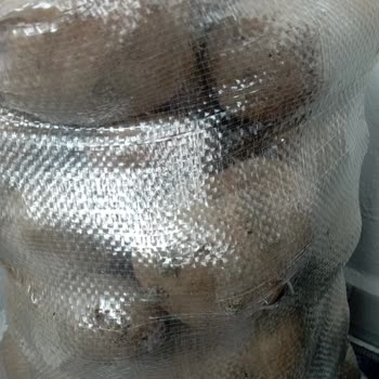 Patates Bozuk Metro Market