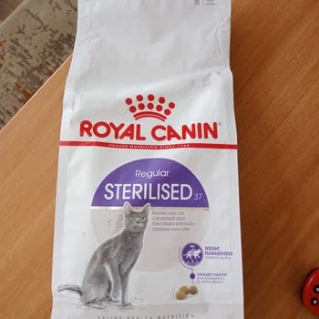 Royal Canin 37 Kedi Maması