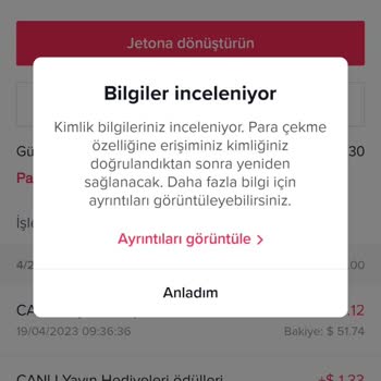 TikTok Para Çekilmiyor Kimlik Bilgileri Önlü Arkalı Resim Eklendi Dio