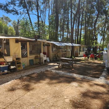 Katrancı Orman Kampı Yanlış Uygulamaları