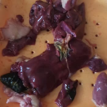 Erpiliç Tabak Tavuk Ciğeri Öd Kısmı