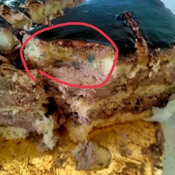 Tatlıbak Gıda Küflü Pasta