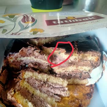 Tatlıbak Gıda Küflü Pasta