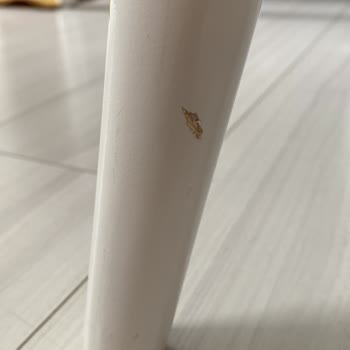 Usta Halı Yıkama'da Ürünüm Deforme Oldu