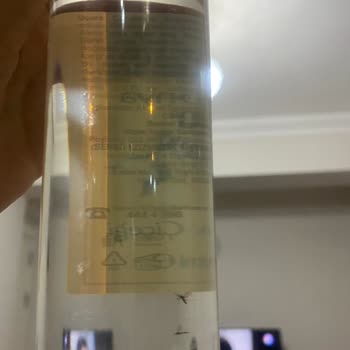 Komili Kişisel Bakım Kolonyanın İçinde Sivrisinek Var