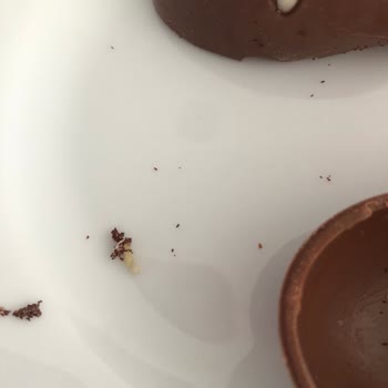 Ozmo Sürpriz Yumurta Kurtlu Cıktı