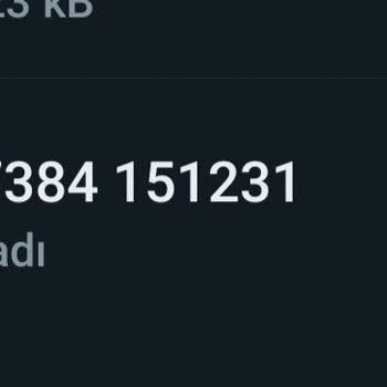 WhatsApp'ta Yabancı Numara Beni Ve Rehberimde Olanları Sesli Arıyor