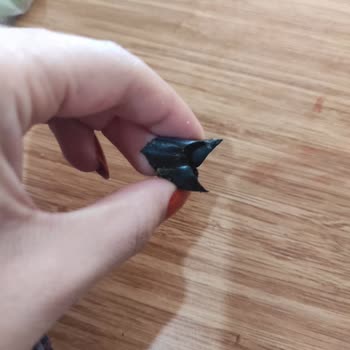 La Lorraine Böreğinden Yabancı Cisim Çıkması