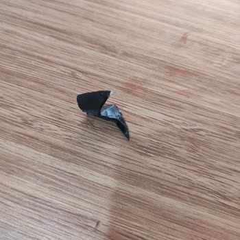 La Lorraine Böreğinden Yabancı Cisim Çıkması