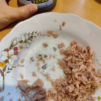 Bizim Vatan Konserve Ton Balığından Balık Pulları