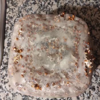 Üçsan Plastik Kap Mikrodalgada Eridi