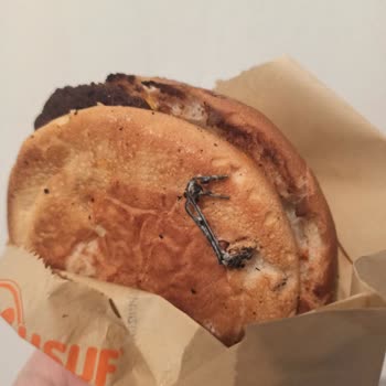 Köfteci Yusuf Hamburgerin İçinden Zımba Teli Çıktı