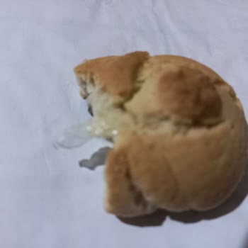 Şok Marketler Bisto Unlu Mamülleri Üzümlü Kurabiyenin İçindeki Ambalaj Parçası