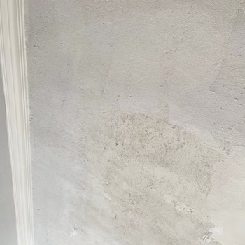 Casati Boya Casati Tavan Boya Vasati