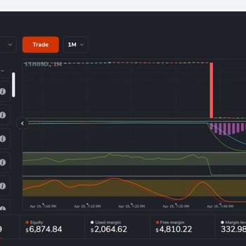 Payforex.io Bakiyem Eksiye Düştü!