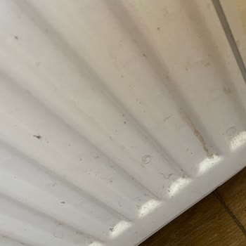 Olimpiyat Otel Kirliliği