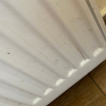 Olimpiyat Otel Kirliliği