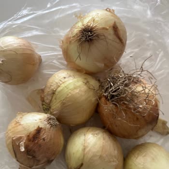 Carrefour SA Sanal Market Kötü Hizmet