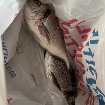 Carrefour SA Sanal Market Kötü Hizmet