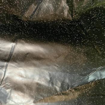 Decathlon FB Çadırın Güneş Alması