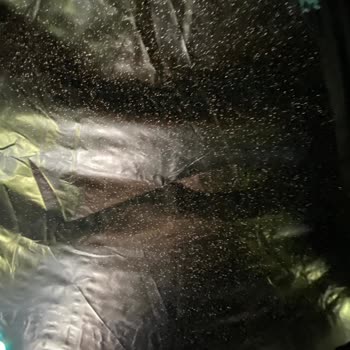 Decathlon FB Çadırın Güneş Alması