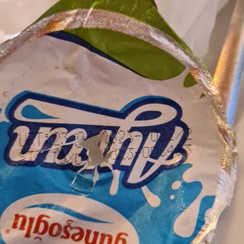 Eyüpsultan Belediyesi SKT'si Geçmiş Ayran Servisi!