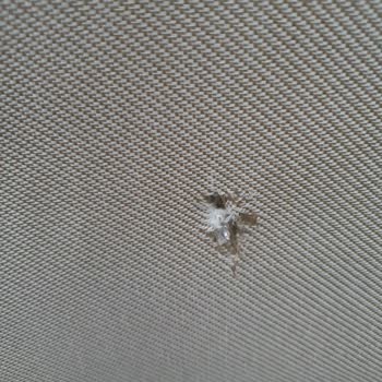 Mondihome Defolu Ürün İlgi Sıfır