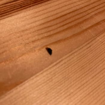 Nescafe Siyah Sert Plastik Parça