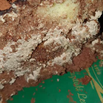 Etlioğulları Pastanesi Bayat Pastanın Günlük Diye Satışa Sunulması