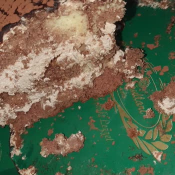 Etlioğulları Pastanesi Bayat Pastanın Günlük Diye Satışa Sunulması