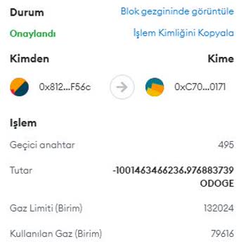 Hotbit Exchange Serious Transaction Issues, They Lost My Odoge Tokens