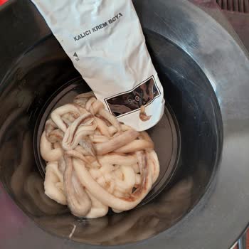 Palette 9-0 Bozuk Çıktı