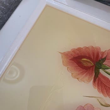 Cadence Boya Tepside Ki Verdik Sararması