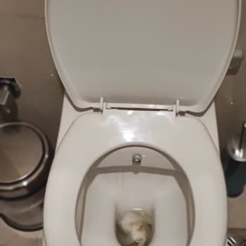 Cadance Design Hotel Memnuniyetsizliği, Hijyenden Yoksun Kötü Kahvaltılı Konsept