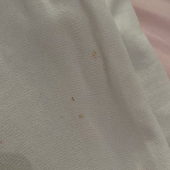 Regal Sorumsuzluğu Ve İlgisizliği