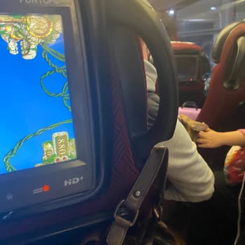 Metro Turizm Araçta Sigara Dumanı Ve Kedilerin Kutu Dışında Seyahati