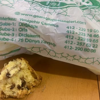 Gazioğlu Pastaneleri Kekte Telin Ne İşi Var