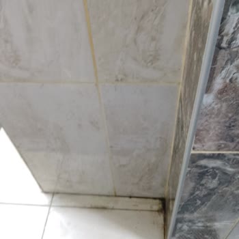 Favori Spor Okulları Kirli, Pis Ve İlgisiz