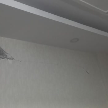 DASK (Doğal Afet Sigortaları Kurumu) Tazminatı Hakkında Şikayet