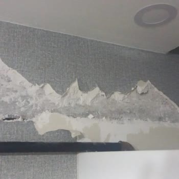 DASK (Doğal Afet Sigortaları Kurumu) Tazminatı Hakkında Şikayet