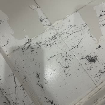 Cadence Boya Yüzeyde Boya Kalkması Soyulması