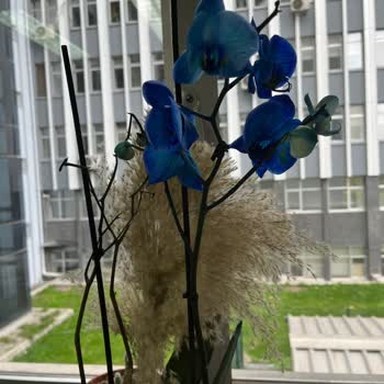 Çiçek Sepeti Bilerek Çürümek Üzere Olan Çiçek Yolluyor