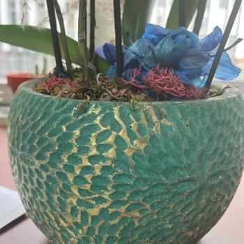 Çiçek Sepeti Bilerek Çürümek Üzere Olan Çiçek Yolluyor