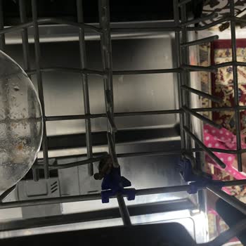 LG Dishwasher Gathered Rust And Leaving Traces On My Dishes