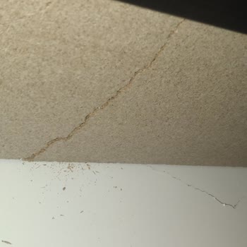 Esme Alışveriş Merkezi Ordu Şubesinden Aldığım Kanepelerde Sorun Var