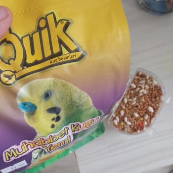 Quik Bulduklarını Koymuşlar Böyle Bir Şey Olmaz