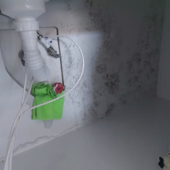 Doğa Sigorta Mutfak Su Akıntısı Sonucu Dolapların Küflenmesi